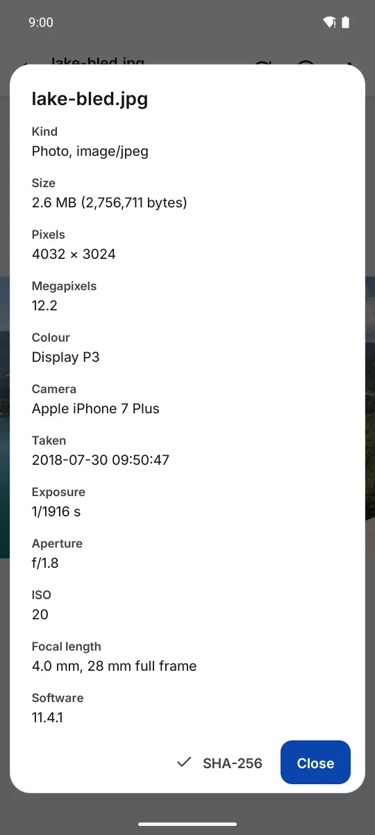 The details of a photo: 4032 by 3024 pixels, Display P3 colour, the camera, exposure and when it was taken