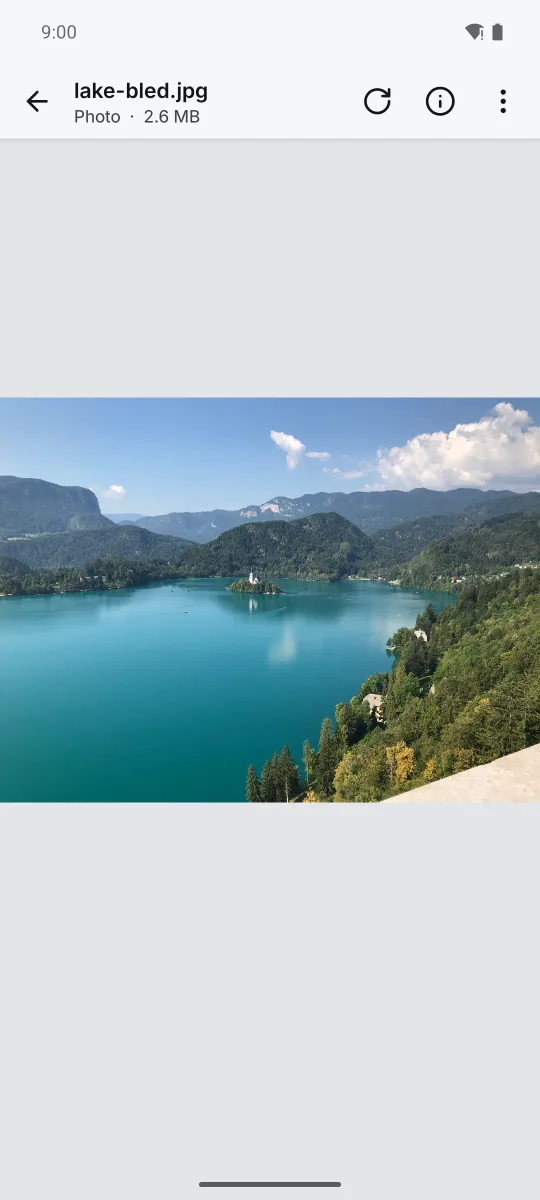 A photo of Lake Bled filling the screen