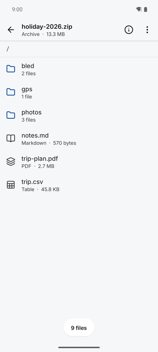 The folders and files inside a zip archive